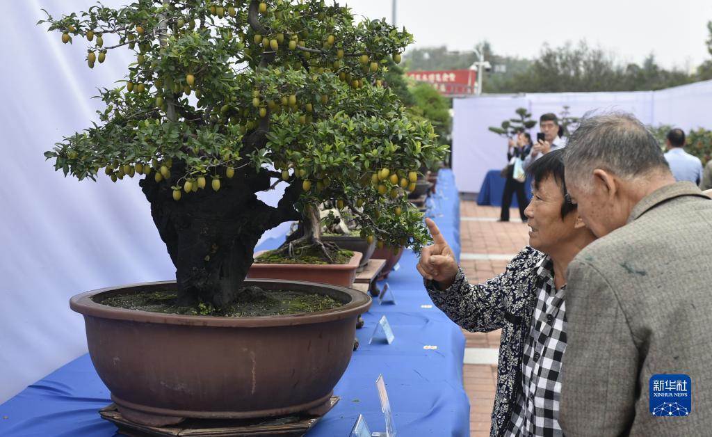 好友娱乐app下载安装